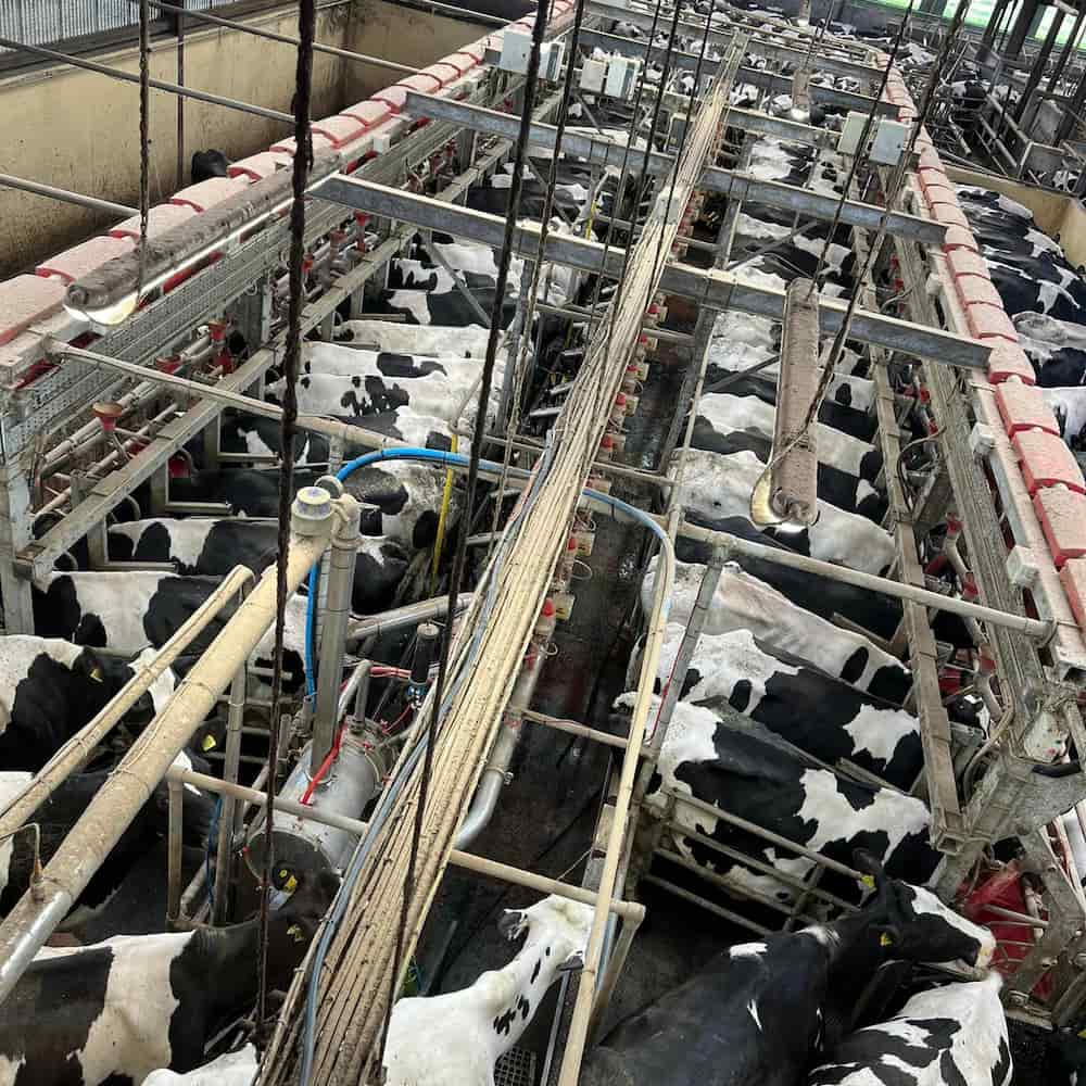 SANICLEANSE AIR TEAT SCRUBBER SYSTEM HEARD HEALTH