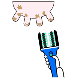 sanicleanse-phase-1